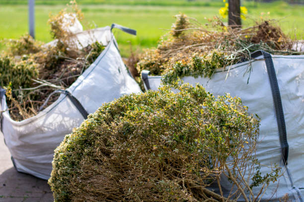 Best Junk Removal Near Me  in Cut Off, LA