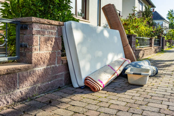 Yard Cleanup Services in Cut Off, LA